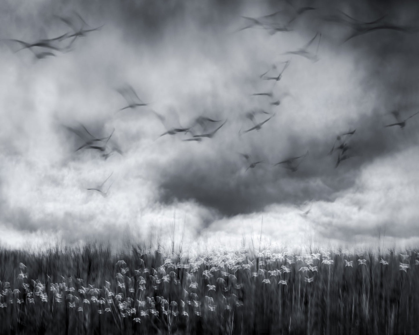 Imminent Thunder