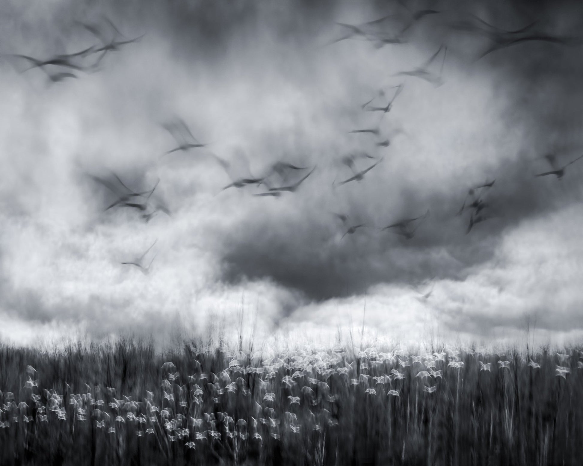 Imminent Thunder