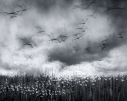 Imminent Thunder