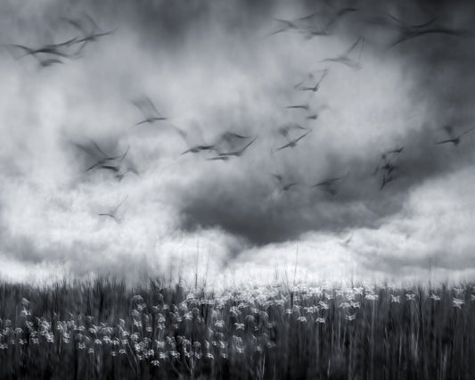 Imminent Thunder