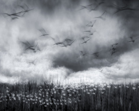 Imminent Thunder