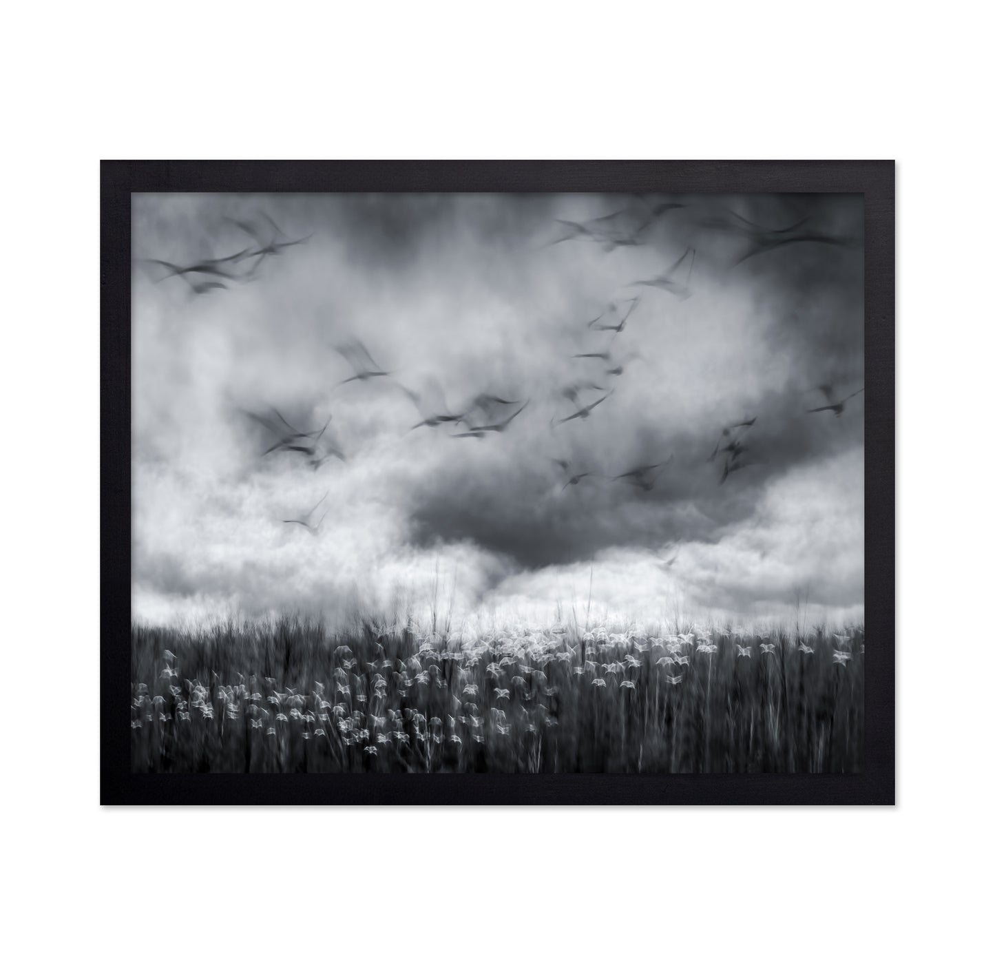 Imminent Thunder