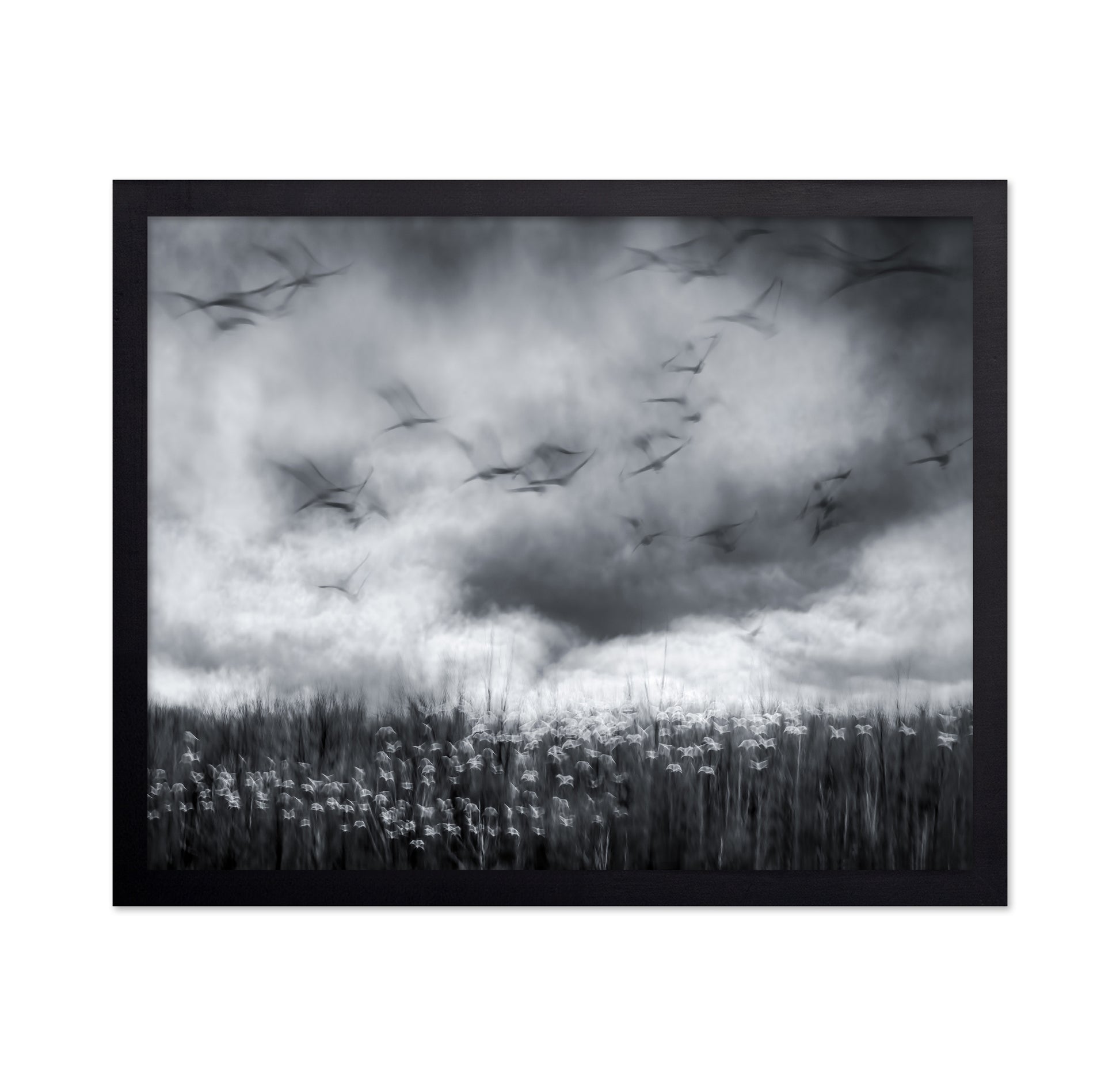 Imminent Thunder