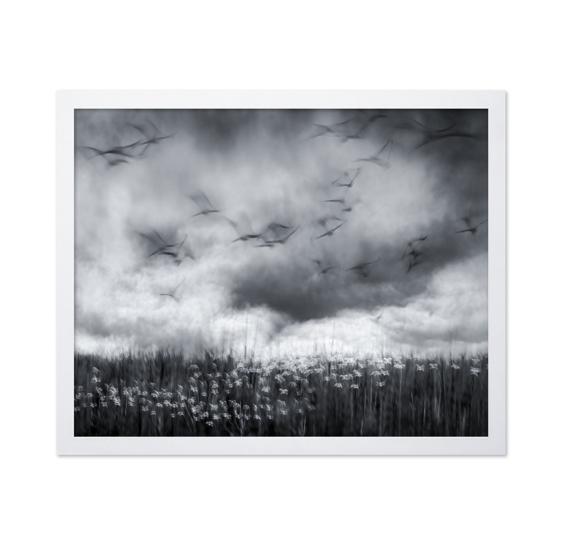 Imminent Thunder