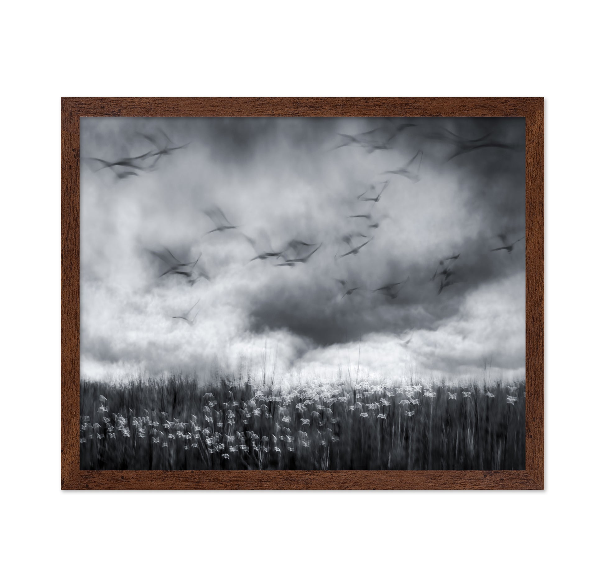 Imminent Thunder