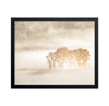 Sunlight in the Mist