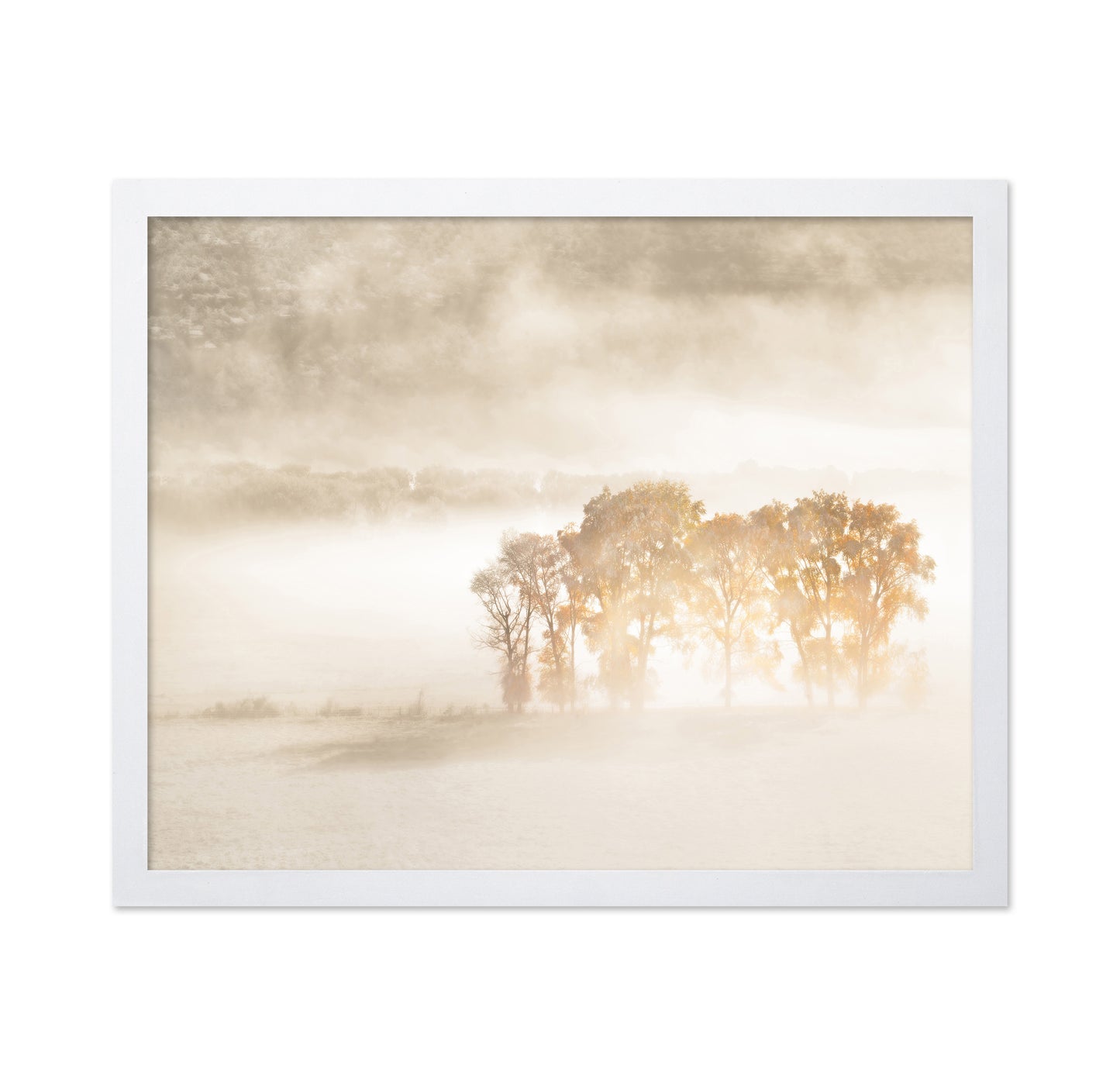 Sunlight in the Mist