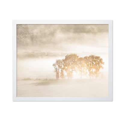 Sunlight in the Mist