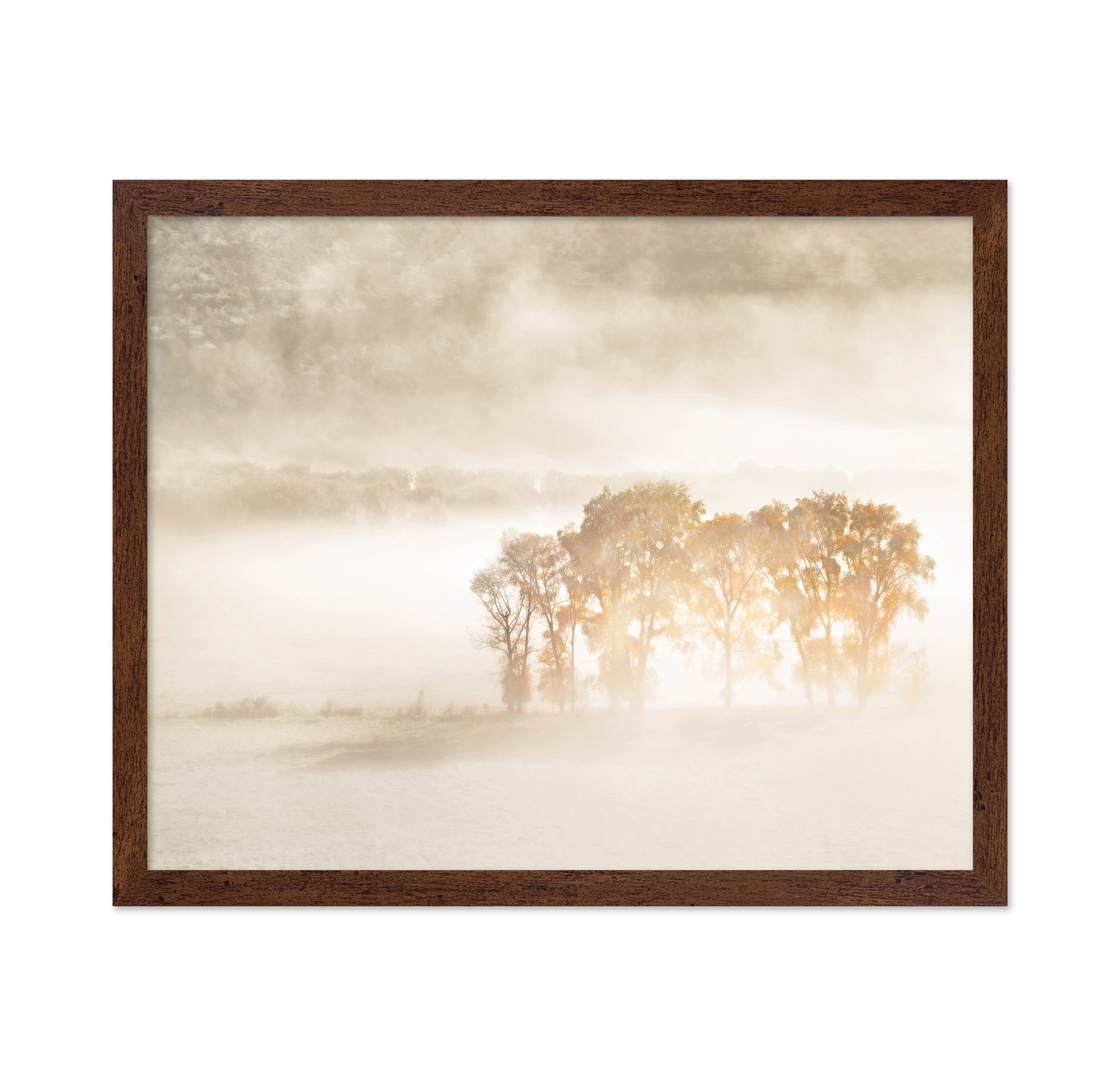 Sunlight in the Mist