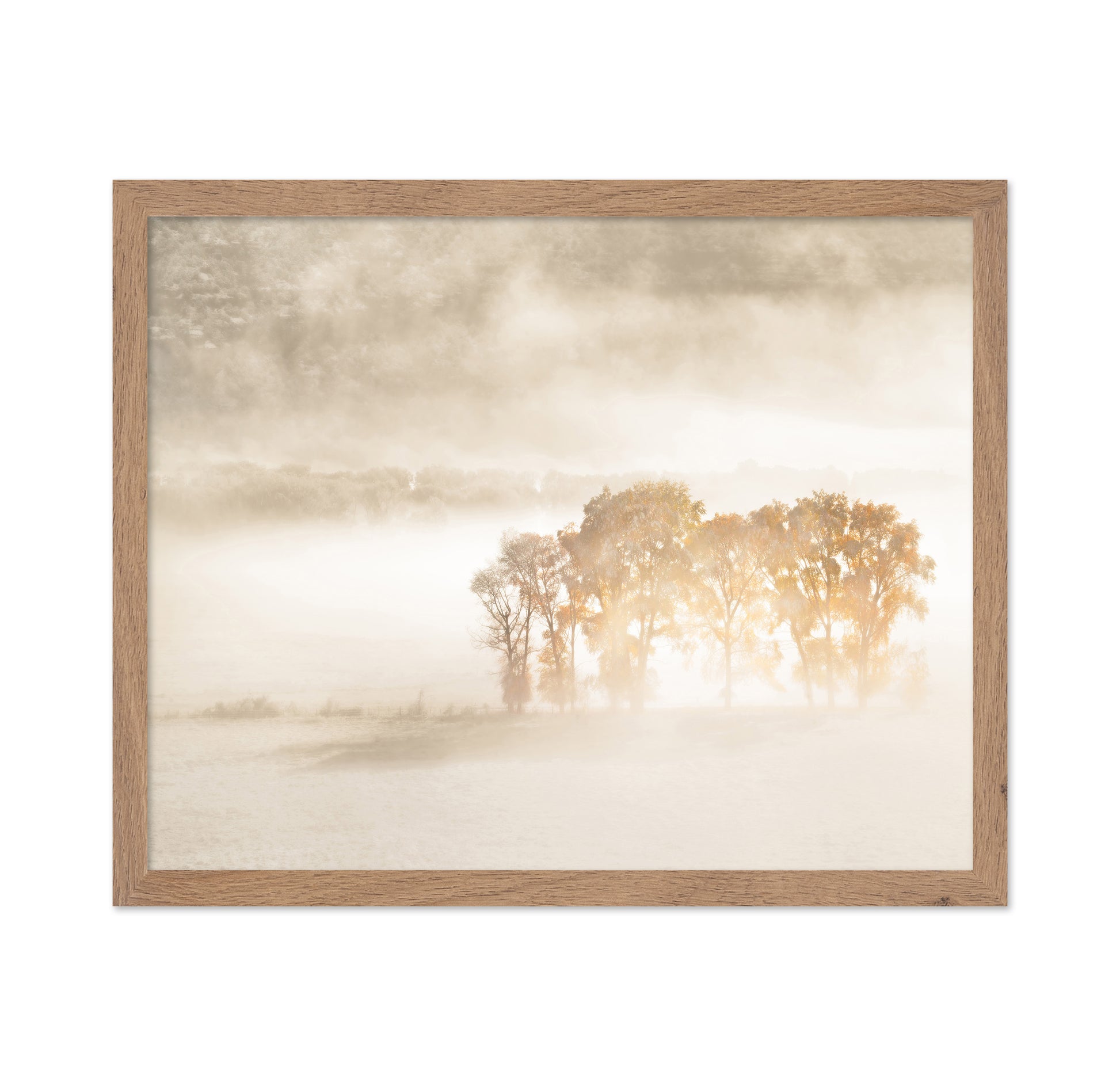 Sunlight in the Mist