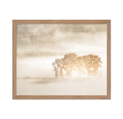 Sunlight in the Mist