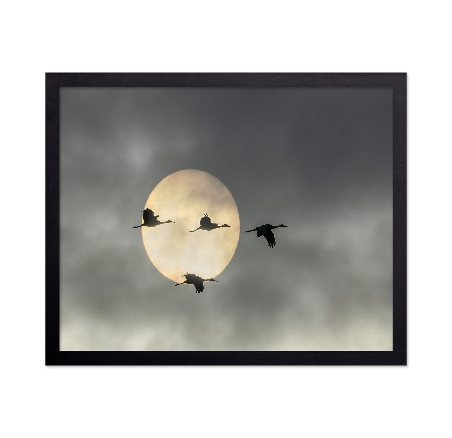 Flying High
