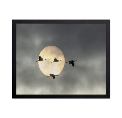 Flying High
