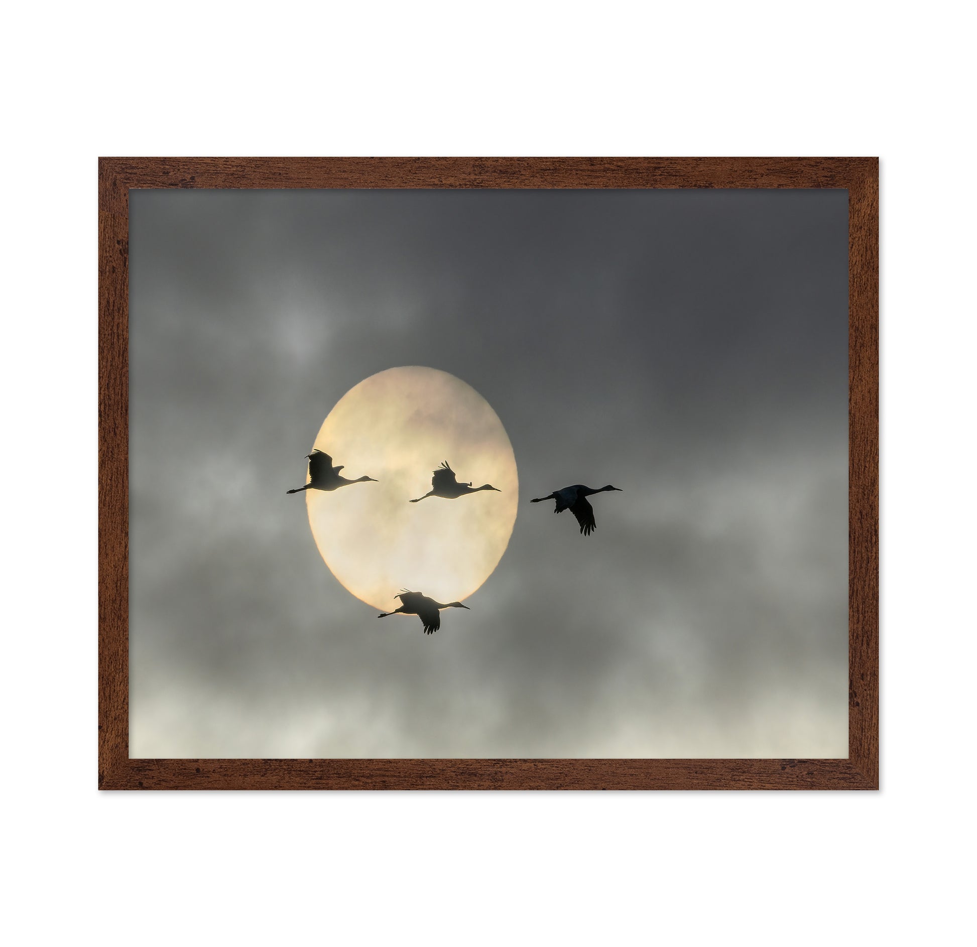 Flying High