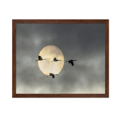 Flying High