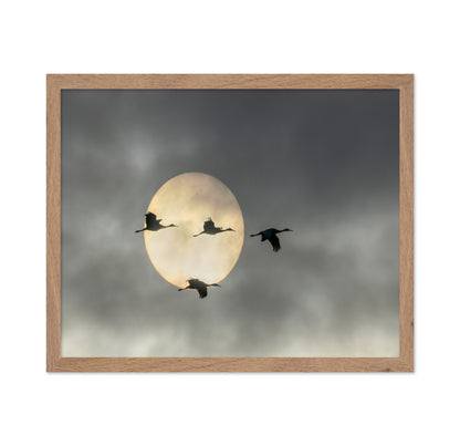 Flying High