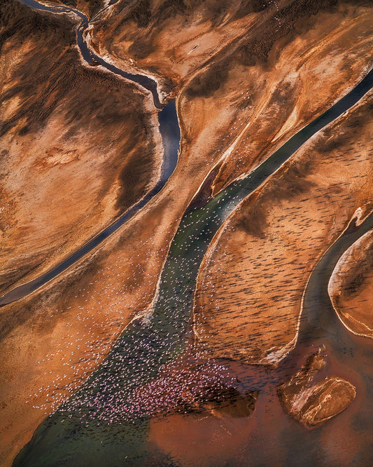 Flying Over Palette