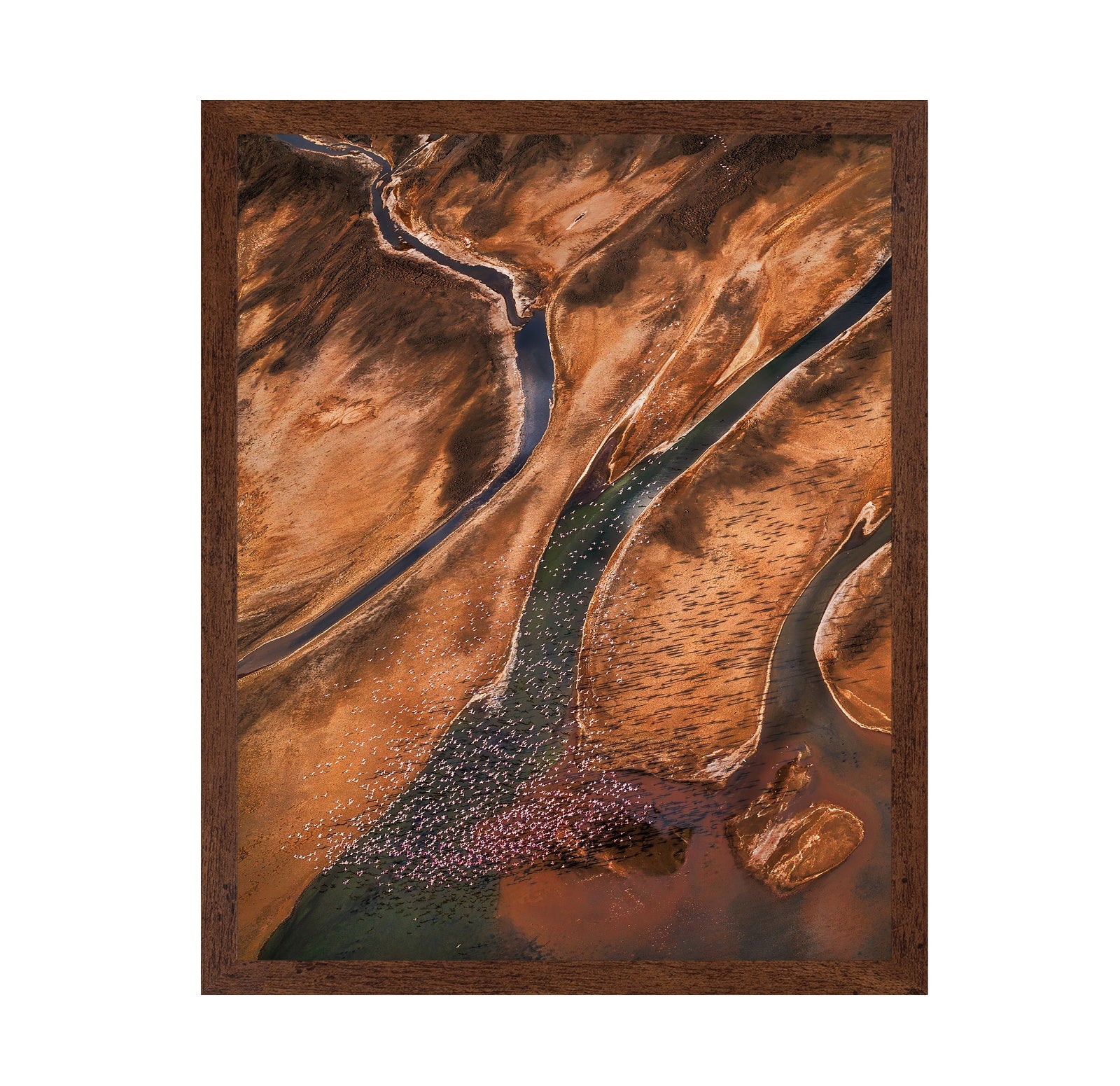 Flying Over Palette