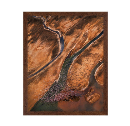 Flying Over Palette
