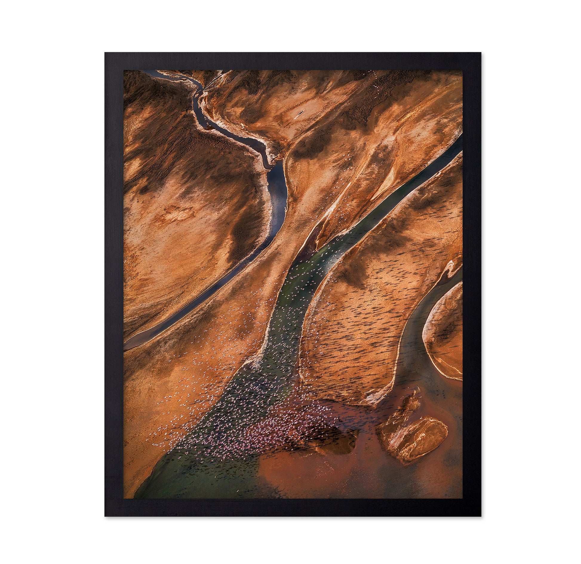 Flying Over Palette