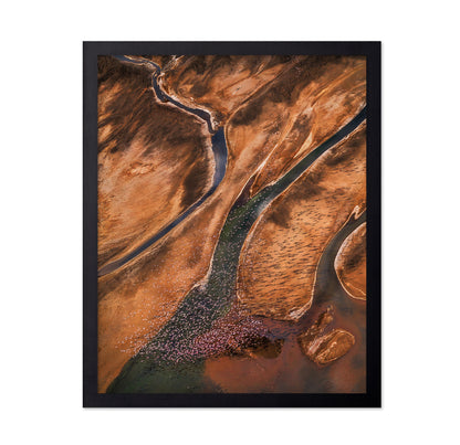 Flying Over Palette