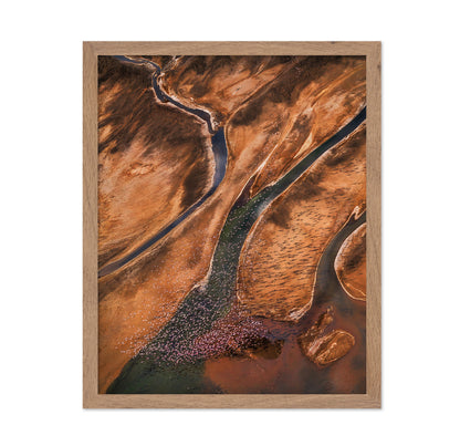 Flying Over Palette