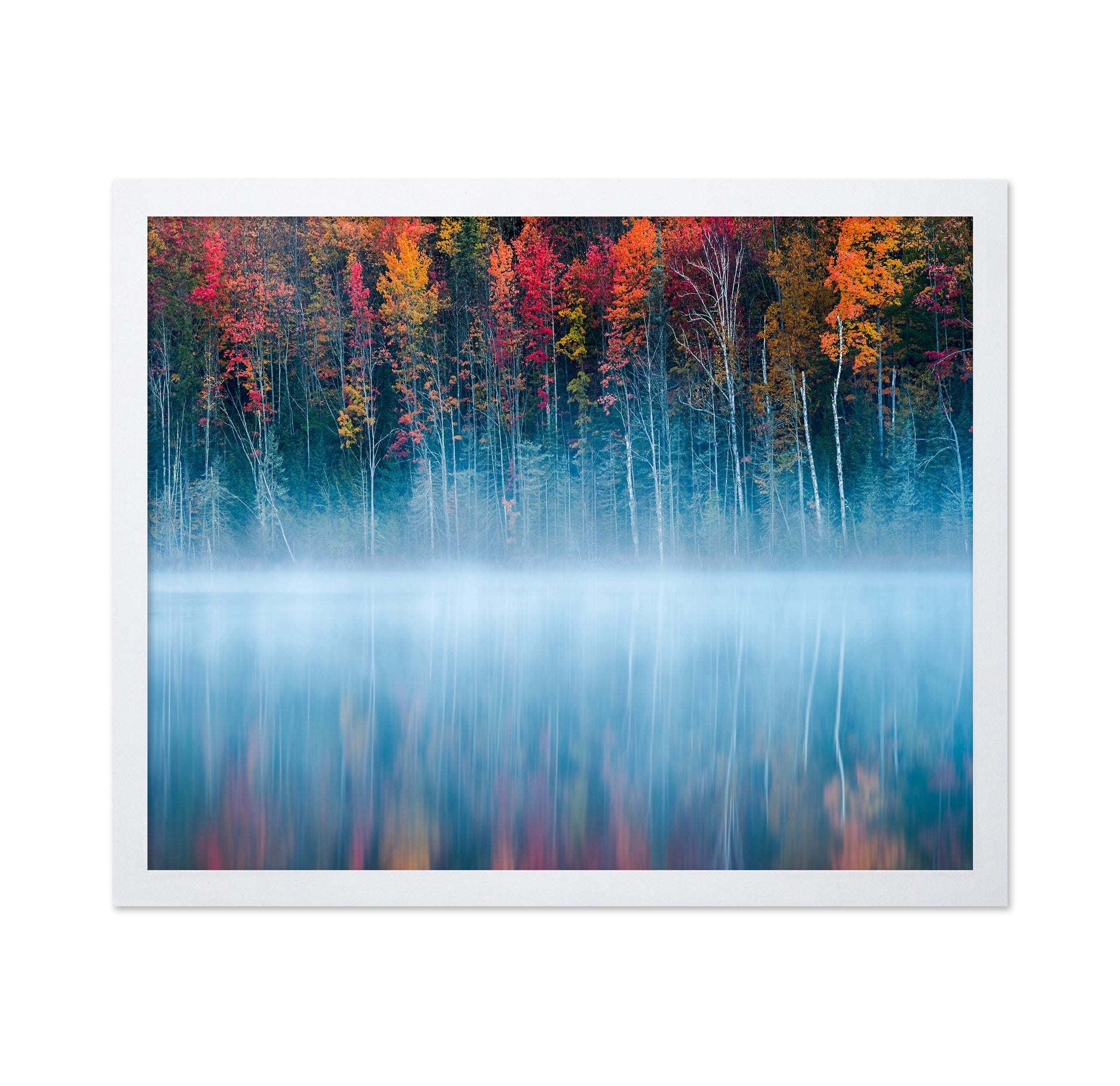 The Mirrored Forest