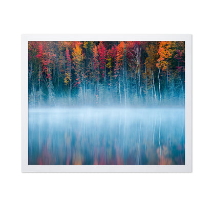 The Mirrored Forest