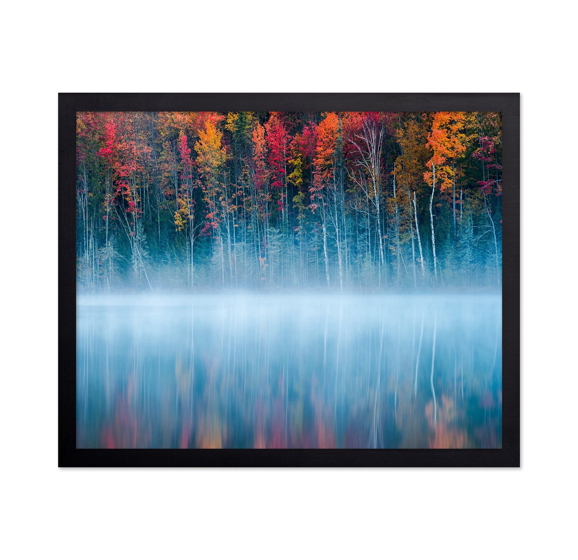 The Mirrored Forest