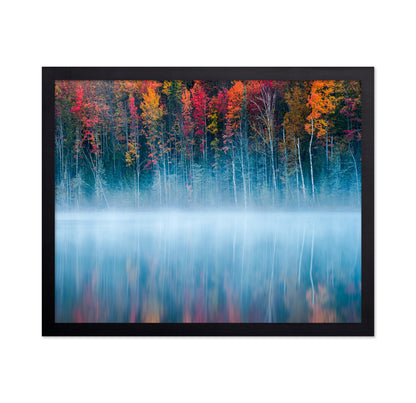The Mirrored Forest
