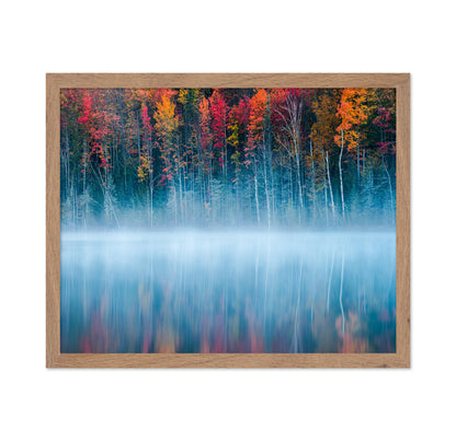 The Mirrored Forest