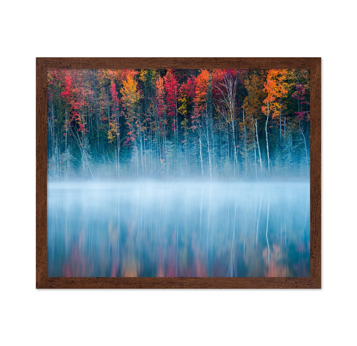 The Mirrored Forest
