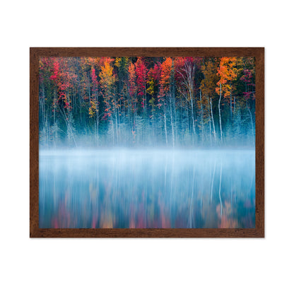 The Mirrored Forest