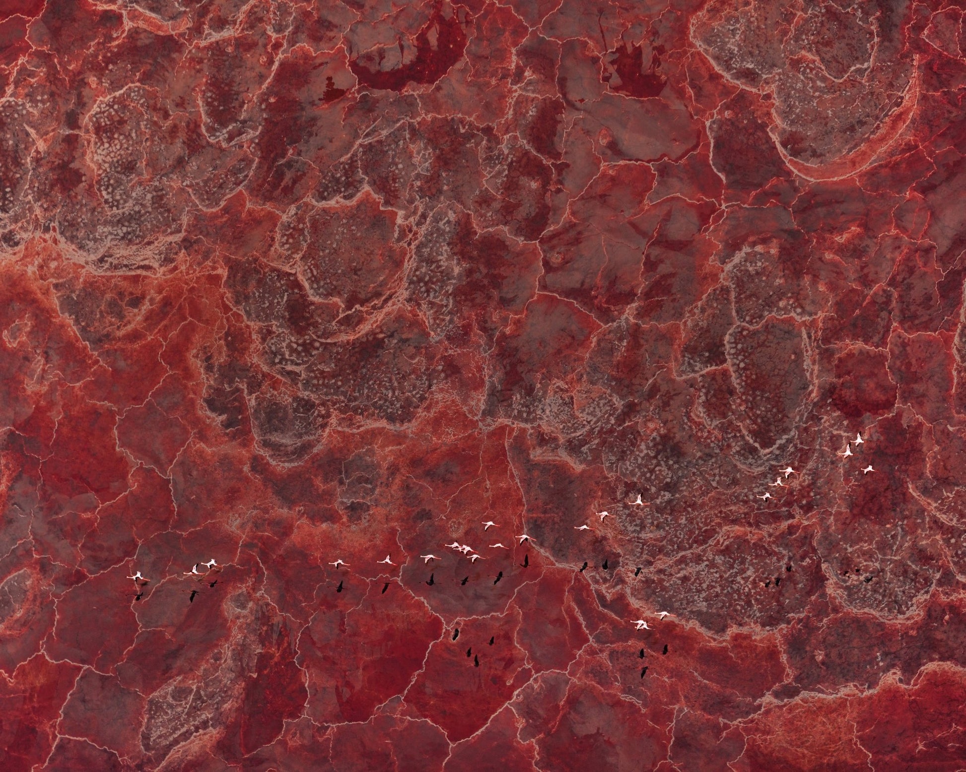 Africa Pallete