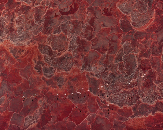Africa Pallete