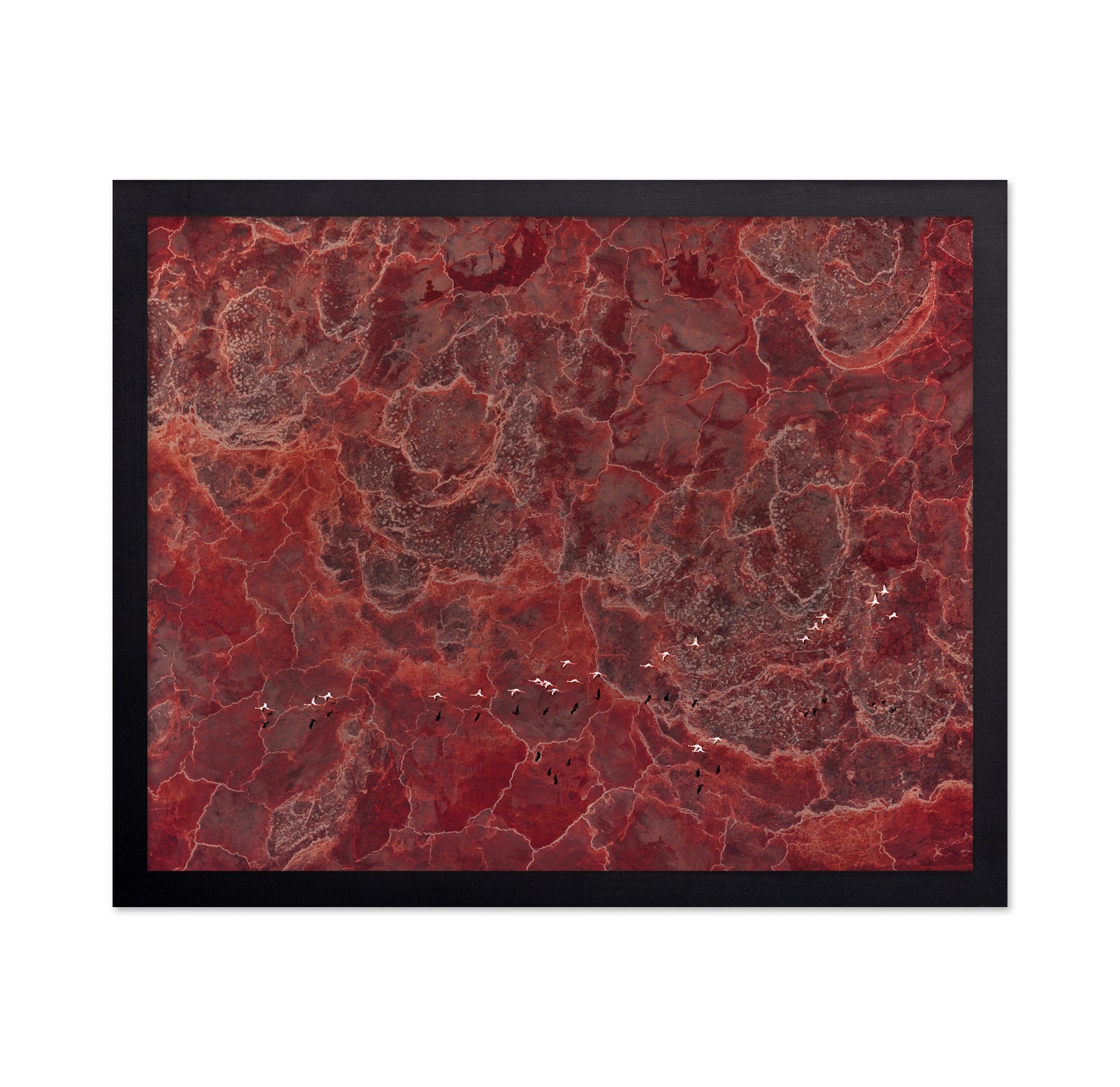 Africa Pallete