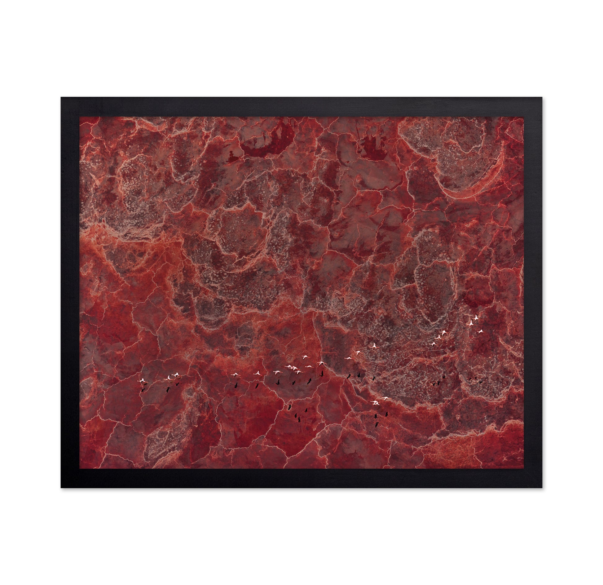 Africa Pallete