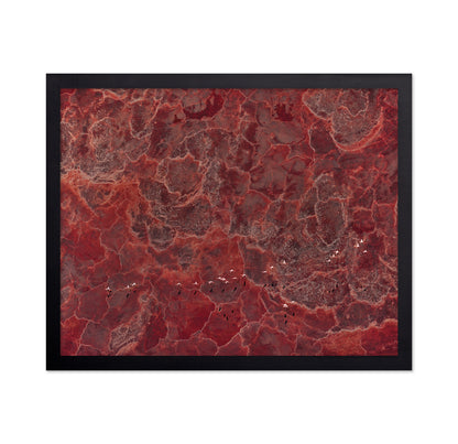 Africa Pallete