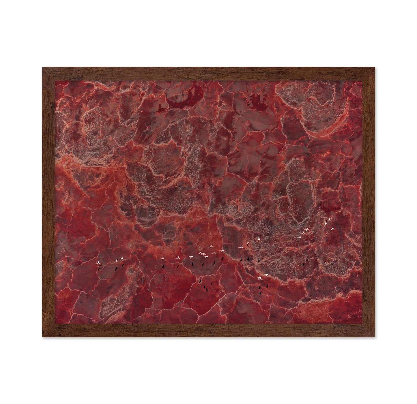 Africa Pallete