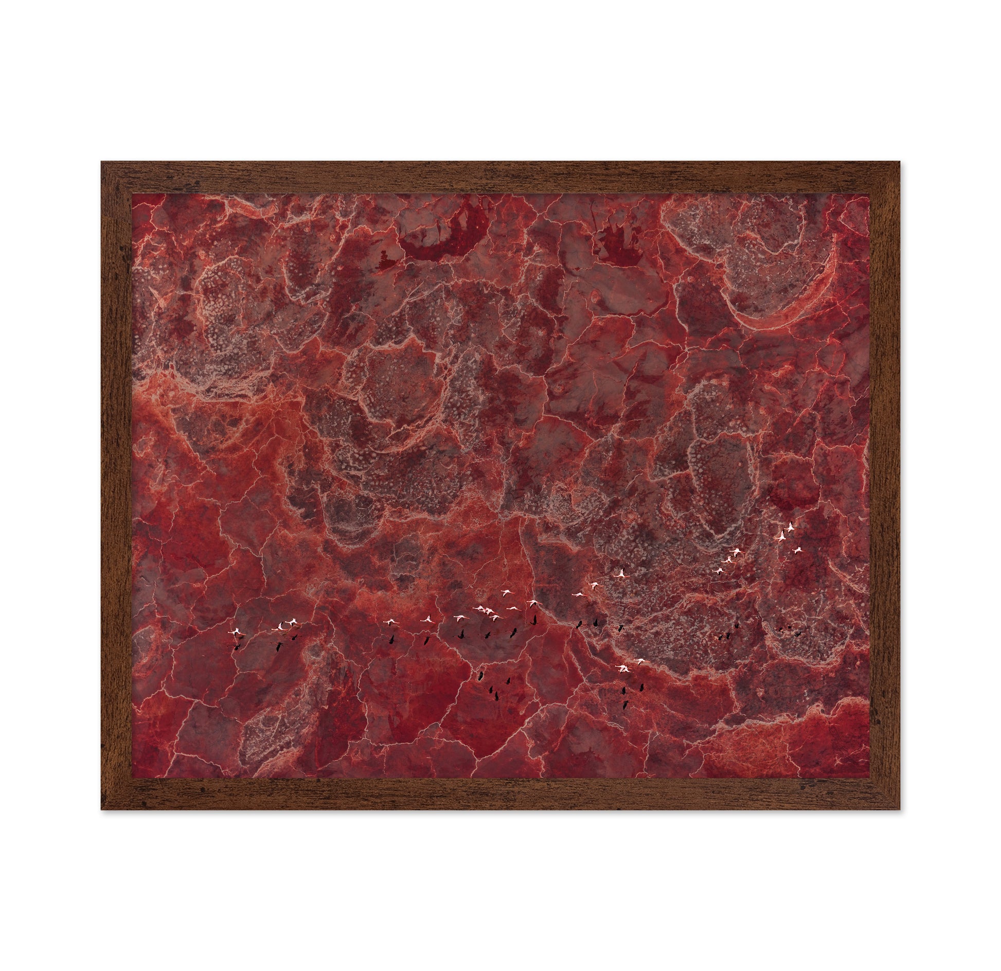 Africa Pallete