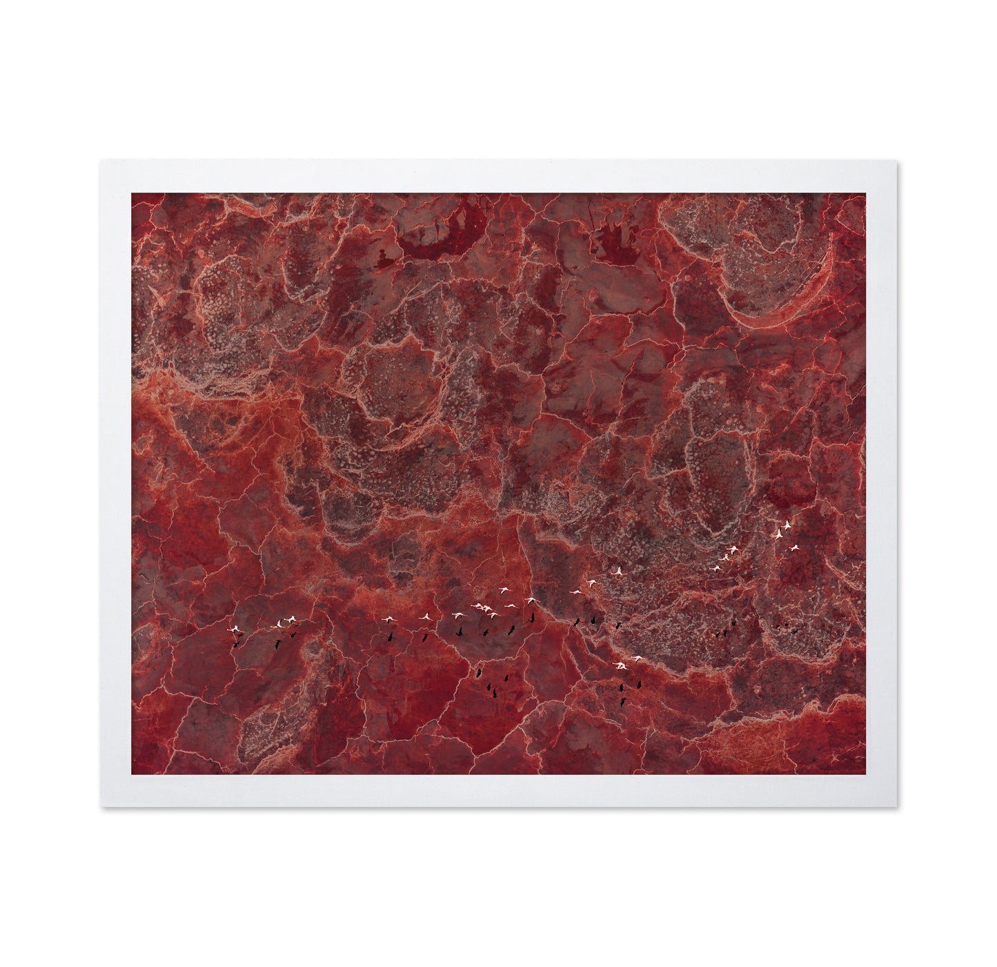 Africa Pallete