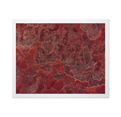 Africa Pallete