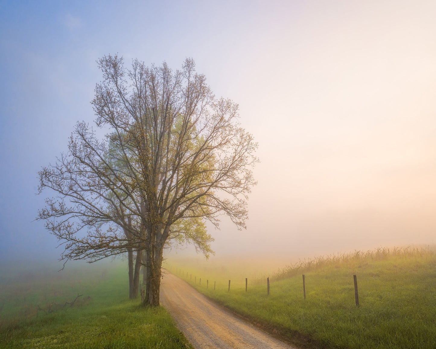 Silence of Days