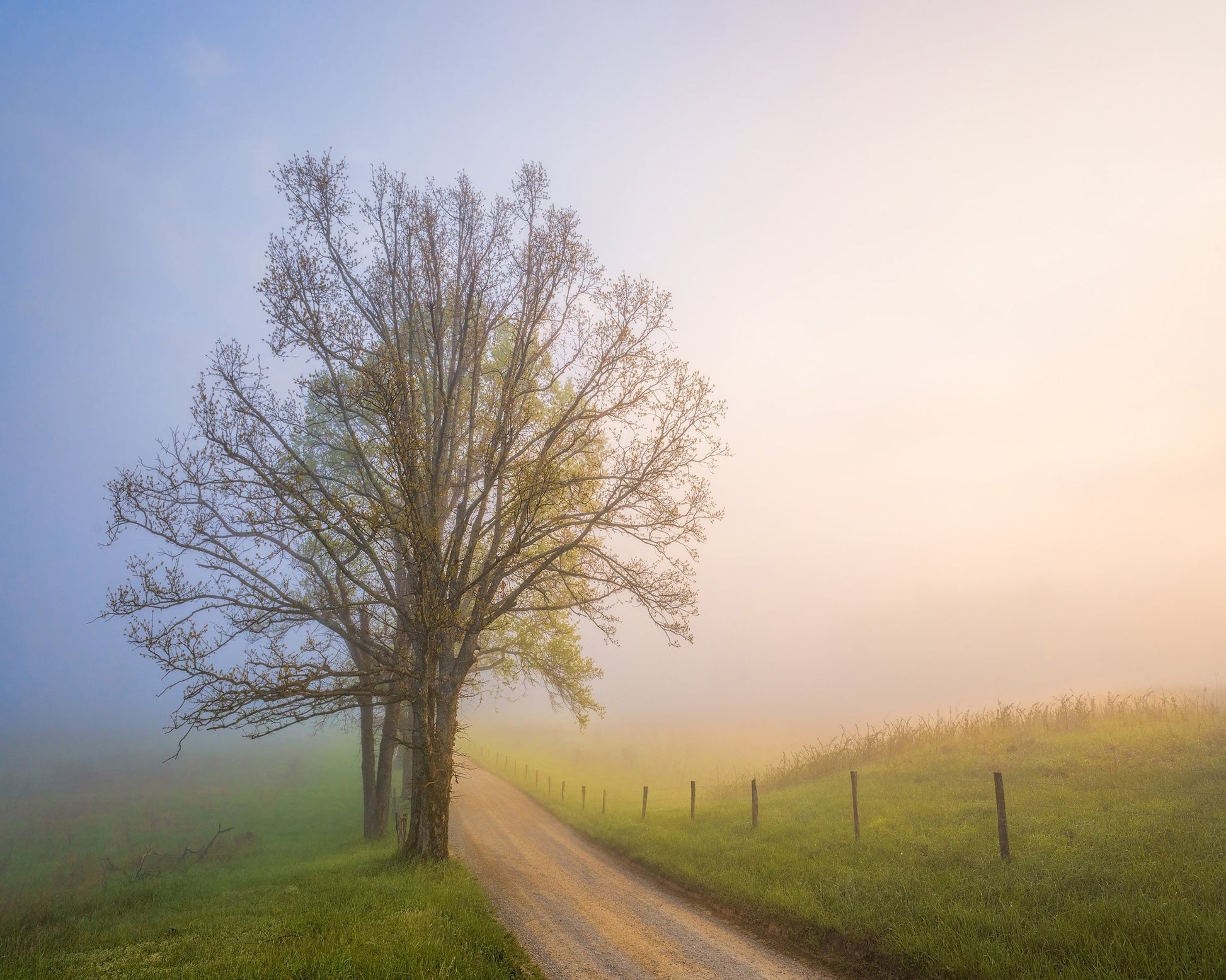 Silence of Days