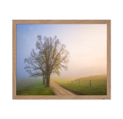 Silence of Days