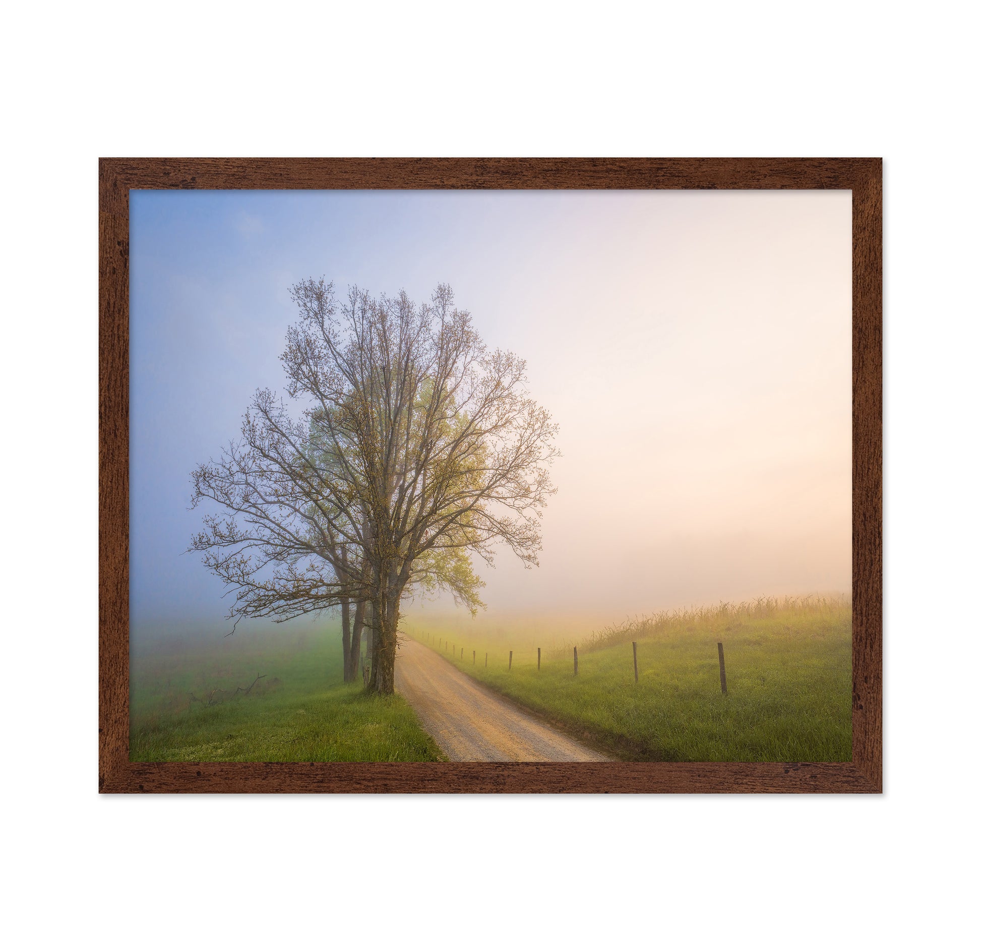 Silence of Days