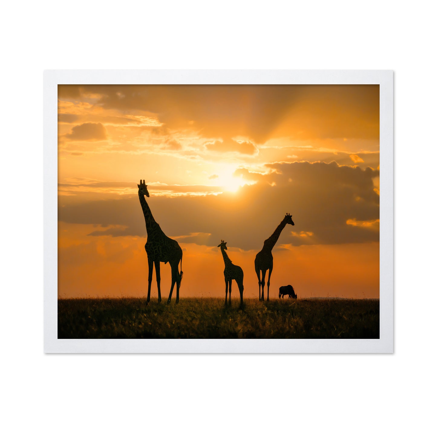 Golden Africa