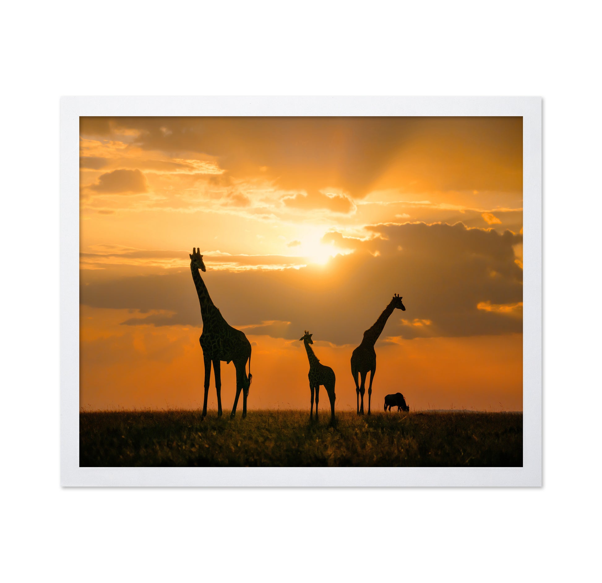 Golden Africa