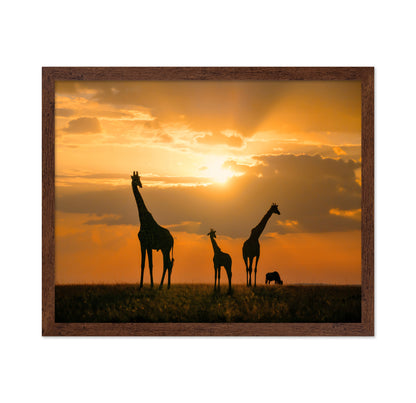 Golden Africa