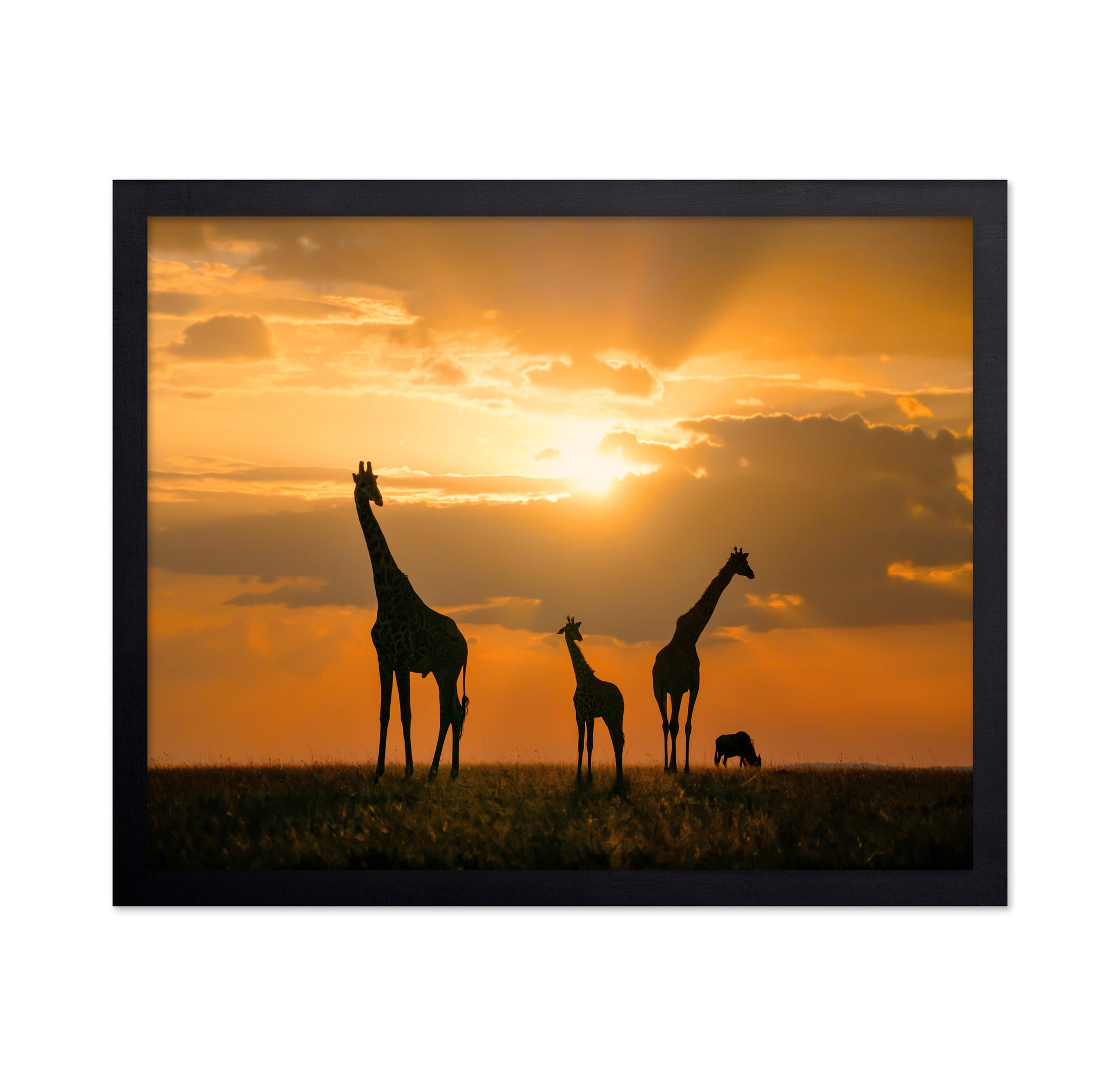 Golden Africa